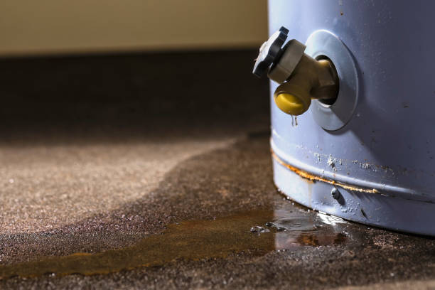 Best Residential water damage restoration  in Shelton, WA