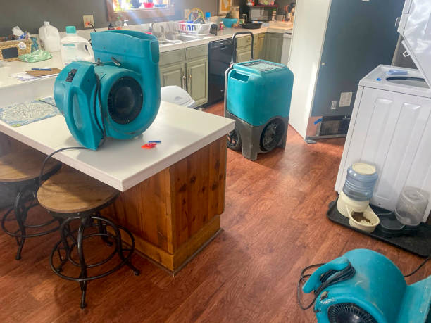 Best Water damage restoration services  in Shelton, WA