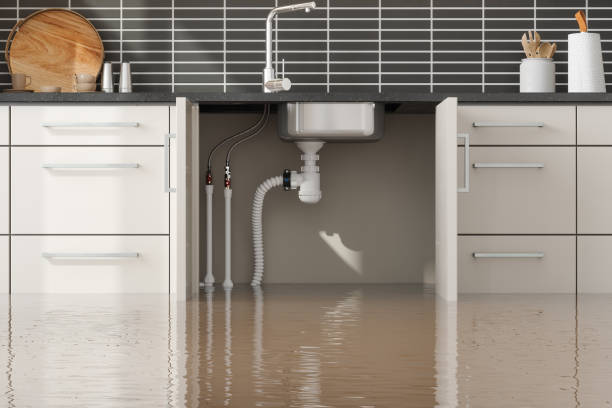 Best Water damage restoration near me  in Shelton, WA