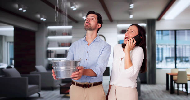 Best Fire Damage Restoration  in Shelton, WA