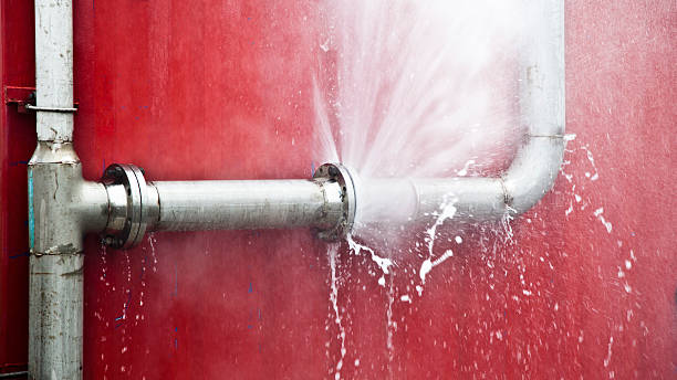 Best Flood restoration services  in Shelton, WA